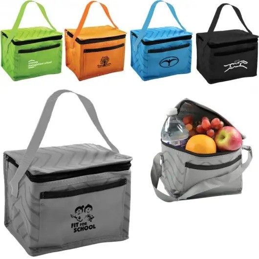 Patterned Lunch Coolers
