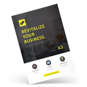 A3 FLYER