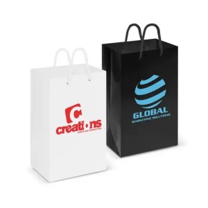 Small Laminated Carry Bags