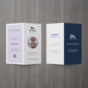 Double DL Flyer Printing