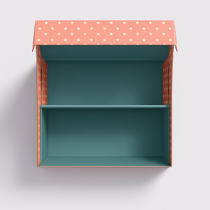 Custom_Printed_Mailer_Boxes
