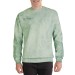 Adult T-Shirt Comfort Colors 1545 Fern