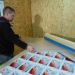 Appfix Flexi