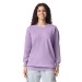 Adult T-Shirt Comfort Colors 1566 Orchid Color