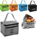 Patterned Lunch Coolers