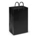 Small Laminated Carry Bags